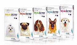 New flea/tick medication by Merck just approved: Bravecto