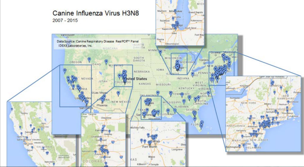 Canine Influenza Virus H3N8 locations