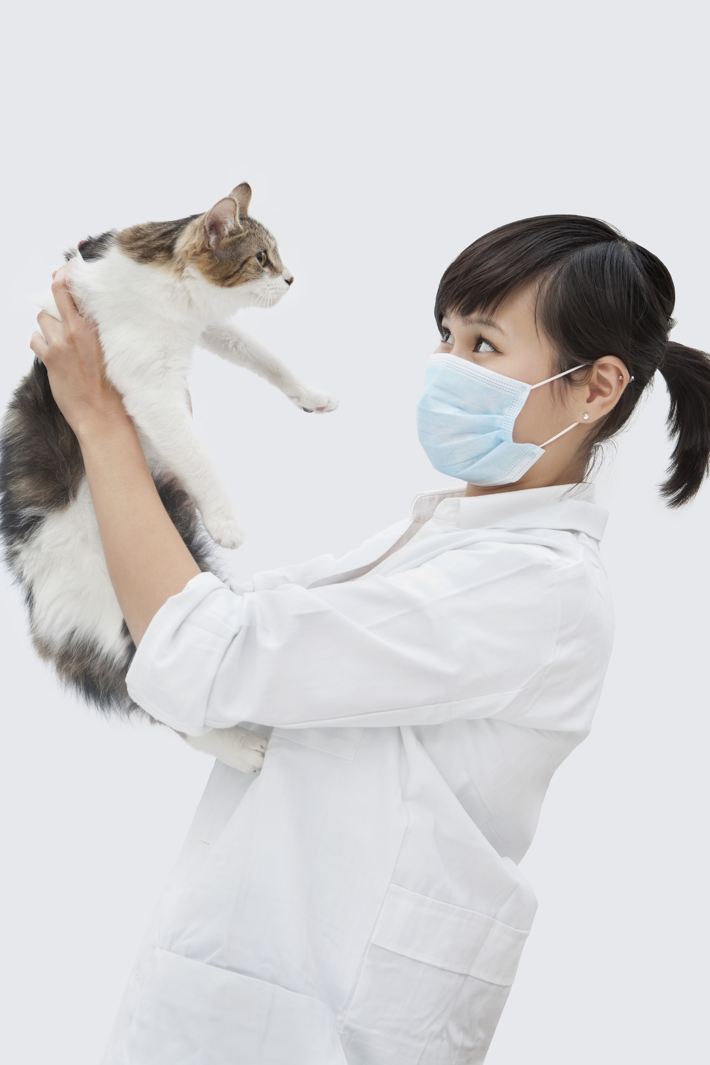 When should you bring your dog or cat to the emergency veterinarian