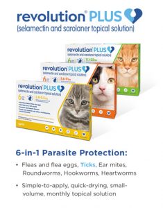 Picking a flea & tick medication for your pet