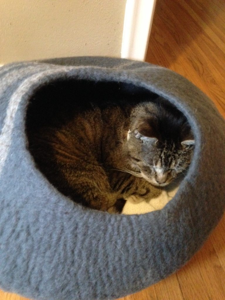 Twin critters shop handcrafted cat cave