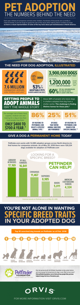 Pet-Adoption_Orvis