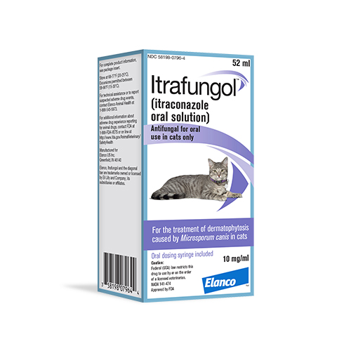 New Treatment Itrafungol For Cats With Ringworm From Elanco Dr Justine Lee