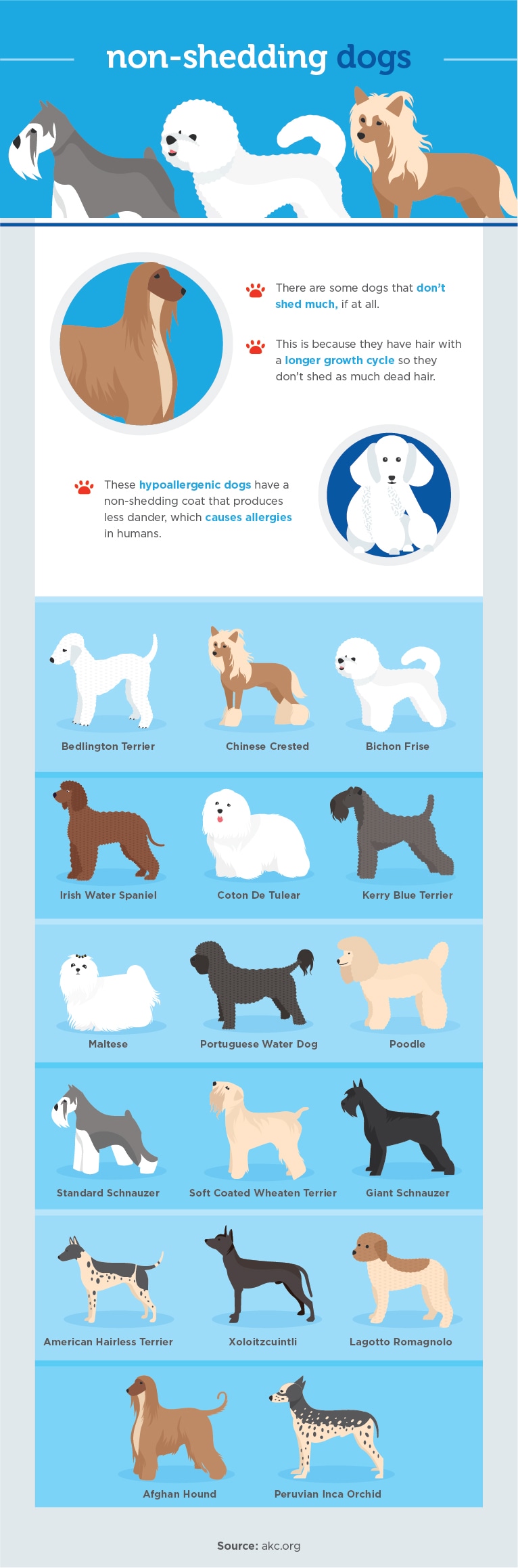 Why do dogs shed? | Dr. Justine Lee, DACVECC, DAVT, Board-certified Veterinary Specialist