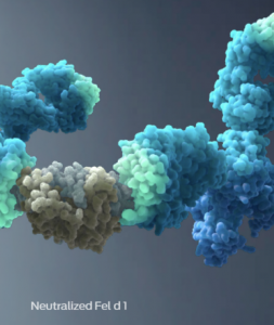 Can you make your cat less allergenic? In this blog by Dr. Justine Lee, find out!