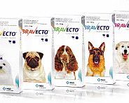 New flea/tick medication by Merck just approved: Bravecto | Dr. Justine Lee