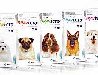 New flea/tick medication by Merck just approved: Bravecto | Dr. Justine Lee