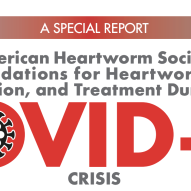 American Heartworm Society Recommendations during COVID-19