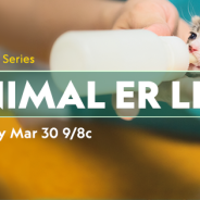 Dr. Justine Lee, DACVECC, DABT, as co-host analyst on Nat Geo Wild’s Animal ER LIVE, starting March 30, 2019