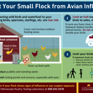 Everyone should be on the lookout for avian influenza