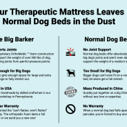 Veterinary review of the orthopedic dog bed Big Barker