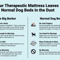 Veterinary review of the orthopedic dog bed Big Barker Dr