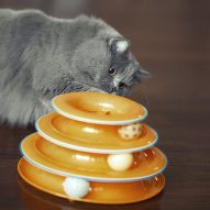 Top 10 holiday gifts for cats | Dr. Justine Lee, DACVECC, DABT, Board-certified Veterinary Specialist