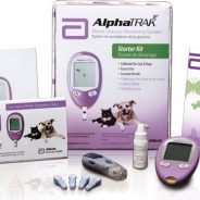 Diabetes in dogs and cats | Dr. Justine Lee