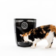 Should you get an automatic pet feeder for your dog or cat?