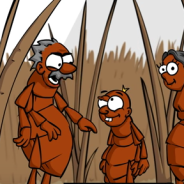 Great educational video on fleas | Dr. Justine Lee