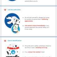 Does my pet need a microchip? | Dr. Justine Lee, DACVECC, DABT, Board-certified Veterinary Specialist