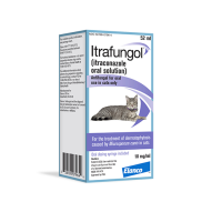 New treatment, Itrafungol, for cats with ringworm from Elanco | Dr. Justine Lee, board-certified veterinary specialist