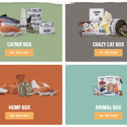 The best cat gift box ever!