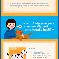 How to keep your dog or cat healthy and happy | Dr. Justine Lee, DACVECC, DABT, Board-certified Veterinary Specialist