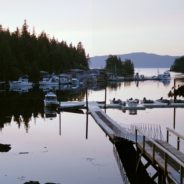 Veterinary CE in Alaska June 2017 | Dr. Justine Lee