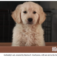 Worst Super Bowl GoDaddy puppy ad ever | Dr. Justine Lee