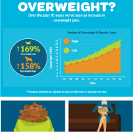 The growing problem of obesity in pets | Dr. Justine Lee, DACVECC, DABT, Board-Certified Veterinary Specialist