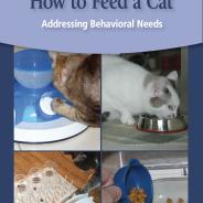 How to feed your cat | Dr. Justine Lee, DVM, DACVECC, DABT, Board-Certified Veterinary Specialist