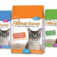 Should I change my cat’s kitty litter? The transition to SwheatScoop | Dr. Justine Lee