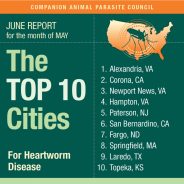 Top 10 cities affected by heartworm disease in dogs!