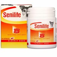 Using Senilife, a holistic supplement, for my senile old cat | Dr. Justine Lee