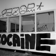 How to treat cocaine poisoning in dogs | Dr. Justine Lee