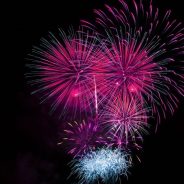 How to keep your pets safe over the July 4th holiday | Dr. Justine Lee