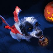Top 5 Halloween Safety Tips for Vets and Pets