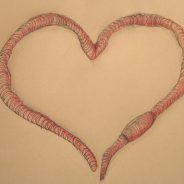 My dog was diagnosed with Heartworm: What do I do now?