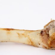 FDA recall on dog bone treats! | Dr. Justine Lee, DACVECC, DABT, Board-Certified Veterinary Specialist