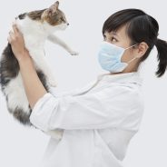 When should you bring your dog or cat to the emergency veterinarian? | Dr. Justine Lee