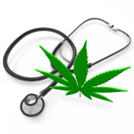 Medical marijuana for pets: Should we be using it (Part II) | Dr. Justine Lee